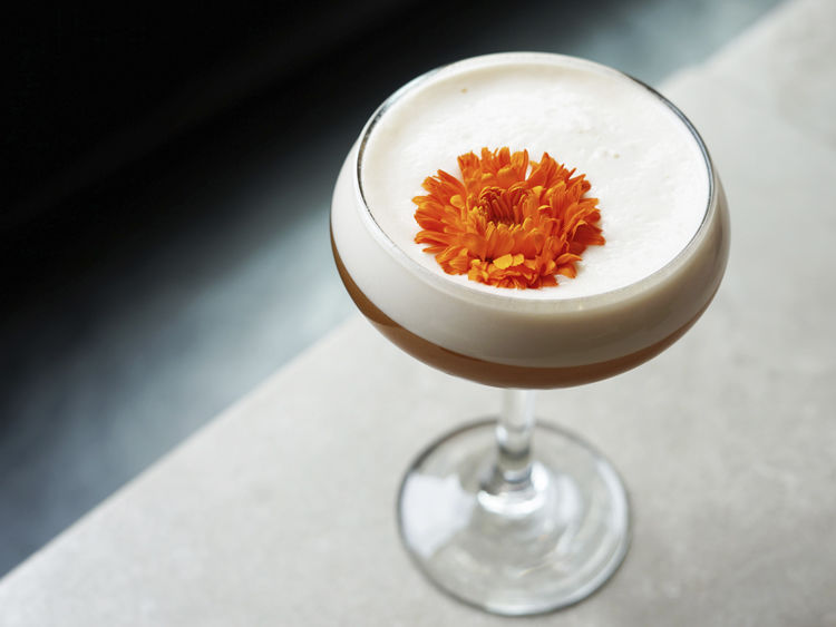 Bar Program - Cocktails: The Order